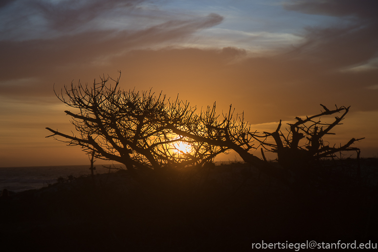 asilomar